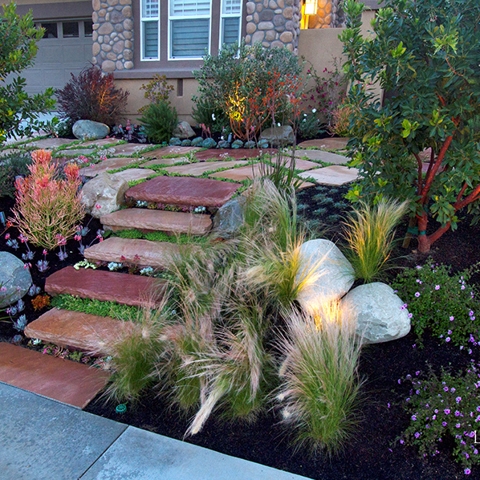 Sustainable Landscaping Photo